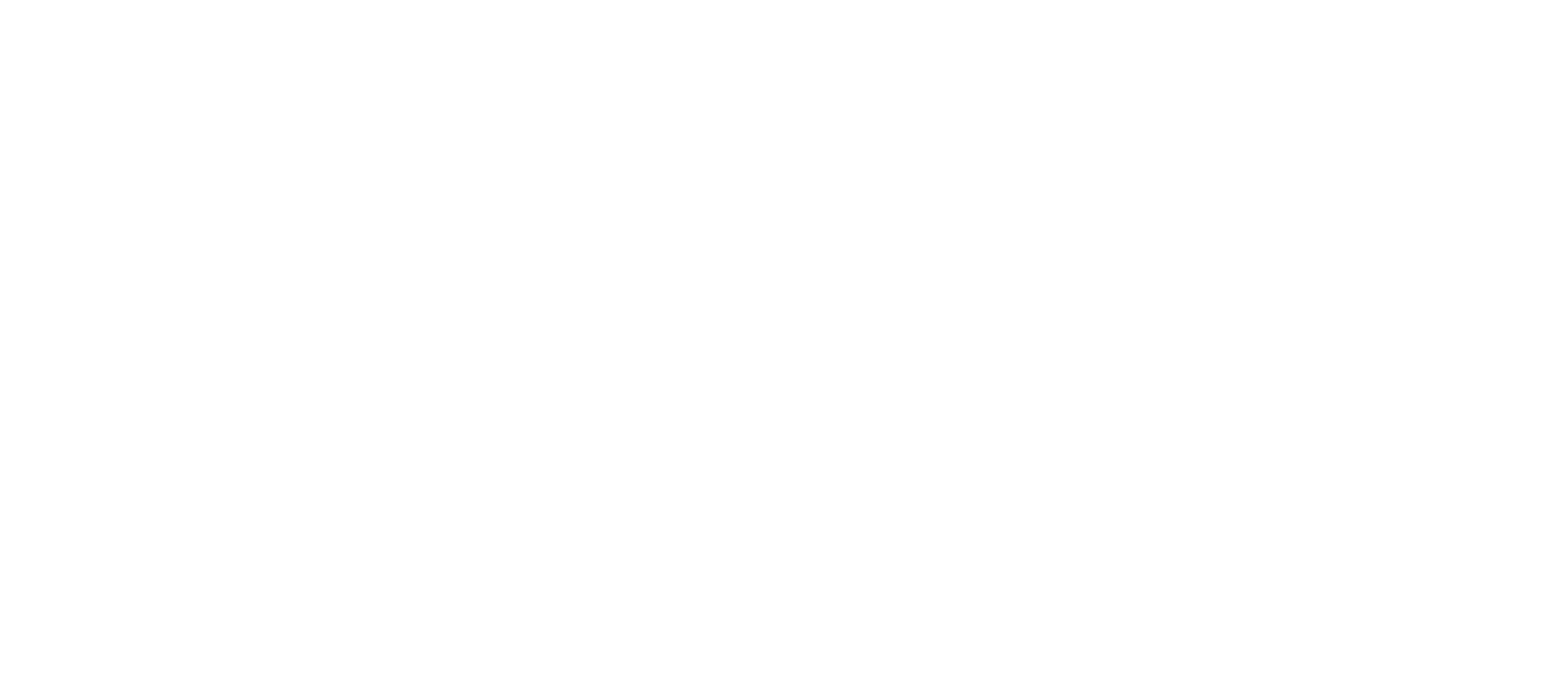 Optima OHM